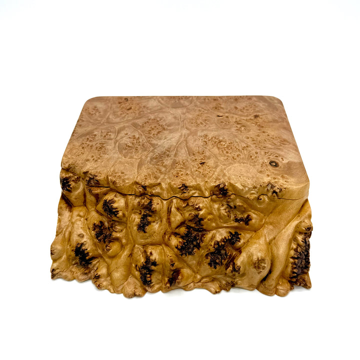 Handcrafted Big Leaf Maple Burl Wood Box