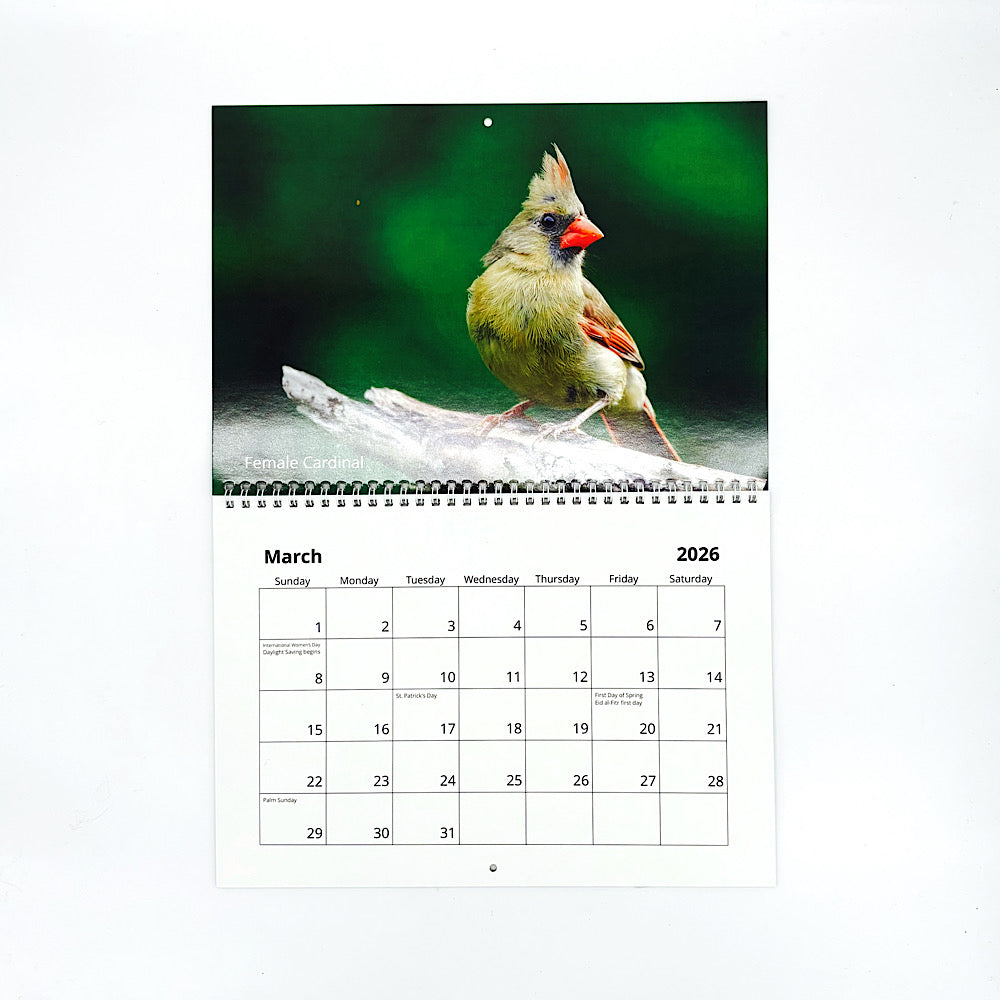 Twelve Month 2026 Bird Calendar