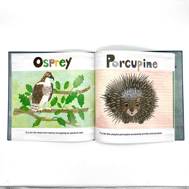 New England Animals A to Z Children's Book